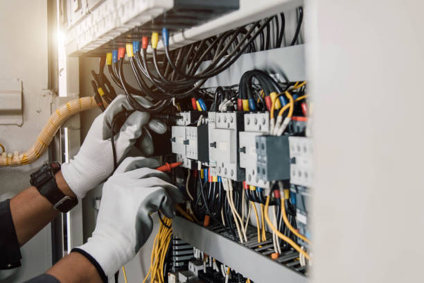 Best Electric Panel Repair  in Herculaneum, MO